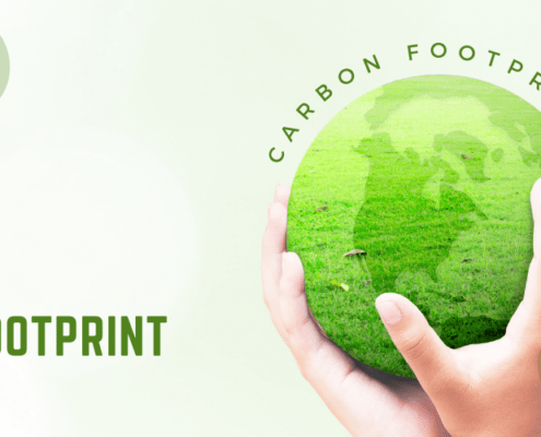 cfo carbon footprint for organization