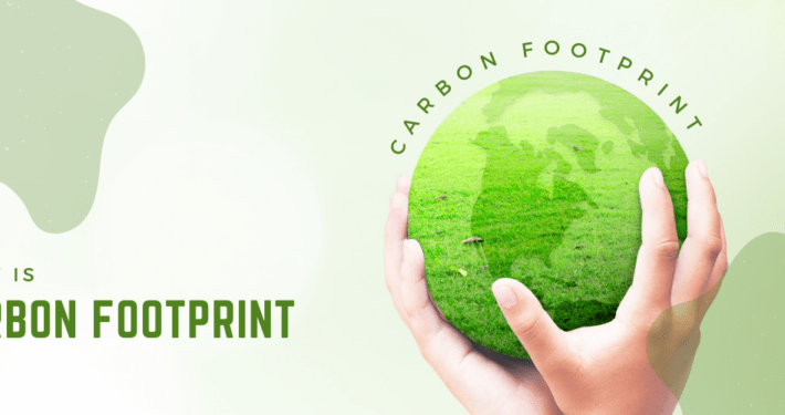 cfo carbon footprint for organization