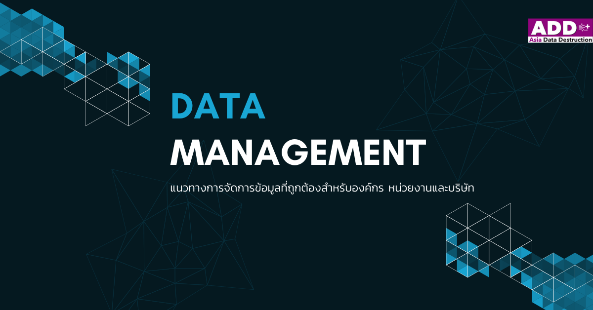 Data Management for Organization