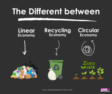 Linear Vs Recycle Vs Circular 